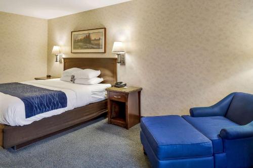 Comfort Inn Bellingham