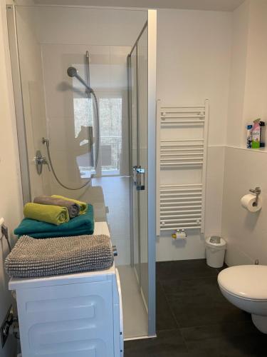 Appartement im Herzen von Leimen, Leimen (Foto 7)