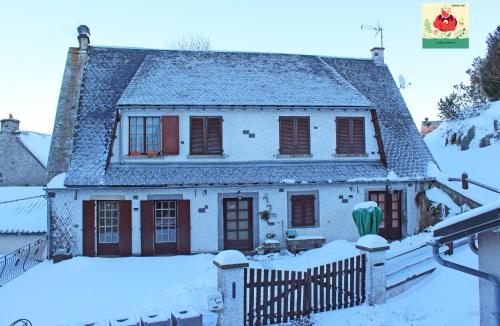 La Cascade Fleurie - Apartment - Saint-Genès-Champespe