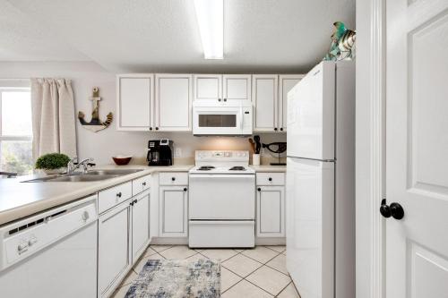 Ciboney 2015 - image 8