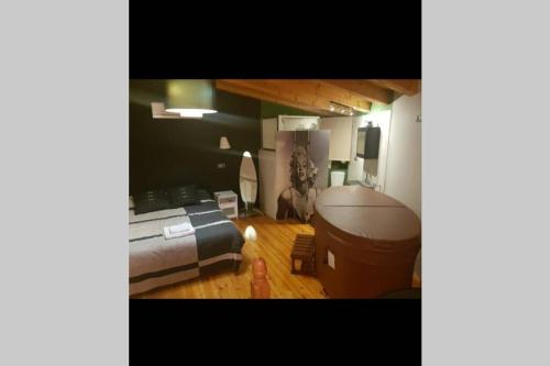 Casa Ambiente Rural: En plena Ribera del Duero