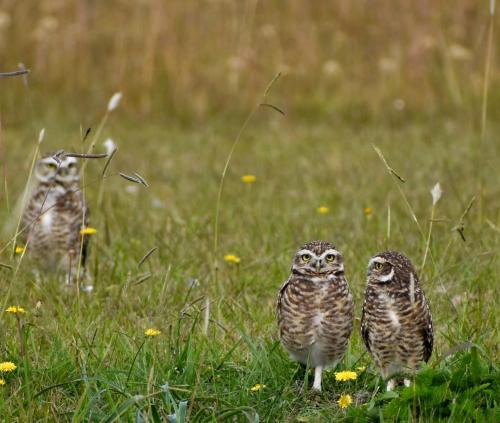 Hotel El Paraiso De La Sierra in Tandil