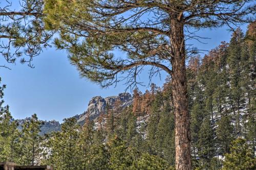 Keystone Cabin with Mount Rushmore Views