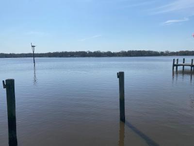 Chester River Waterfront, Magnificent Views, Dock, Beach, close 2 town