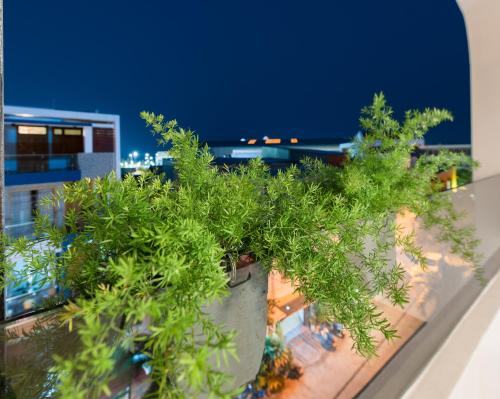 Hotel near Beach Miami Phu Yen - 전망