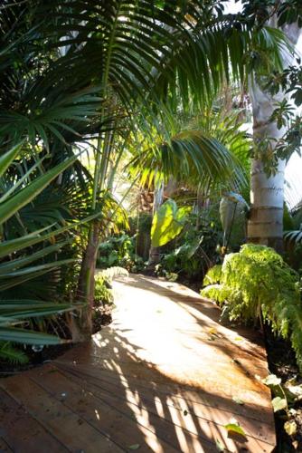 Palm Garden Papamoa Beach Paradise