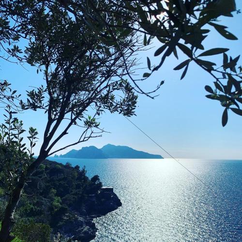 Relais il Chiostro Historic Courtyard & Panoramic Terrace near Sorrento, Massa Lubrense (fotografie 11)