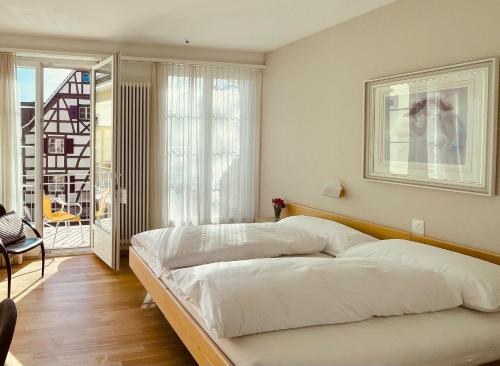 Hotel Rössli, Basilea (foto 7)