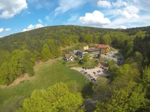 Wald-Hotel Heppe in Dammbach, Deutschland