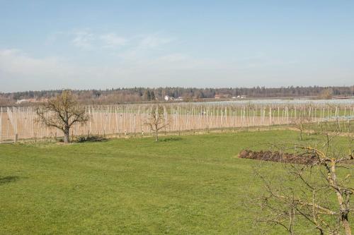Ferienwohnung Monninger in Langenargen