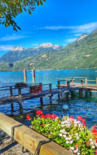 Manou du Lac Annecy - image 8