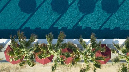 Aqua Blu Boutique Hotel & Spa Adults Only- Small Luxury Hotels of the World - image 5