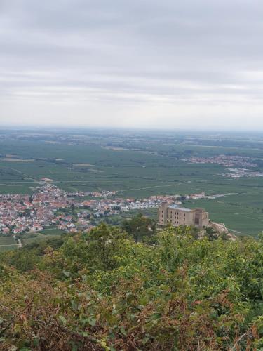 Weinhaus Paradies - image 2