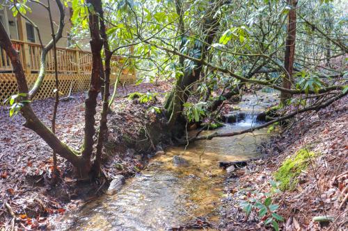 Secluded Lavinder Laurel Leaf Cottage Near Creek