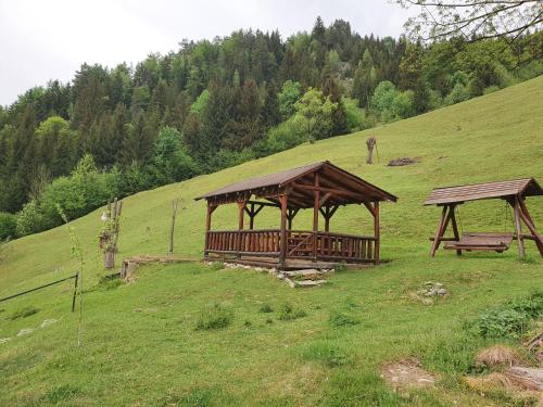 Pensiunea Cezar-Codrin - image 7