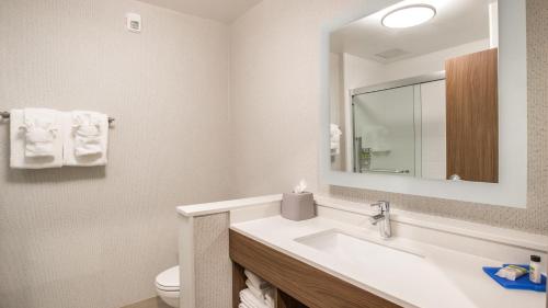 Holiday Inn Express & Suites Racine, an IHG Hotel