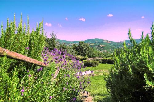  Agriturismo La Castellana, Pension in Assisi bei Valtopina