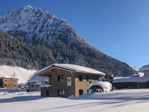 Woodpecker Chalets – Klösterle, KS