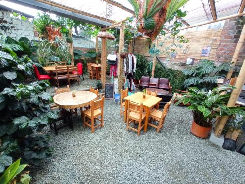 Bidea Backpackers Hostel in Filandia