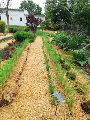 Au cœur du jardin