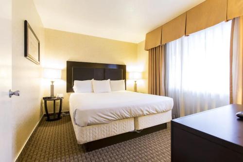 Suite room in Hotel Silver Lake Los Angeles