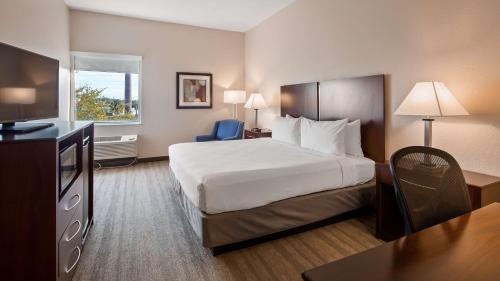 Guestroom, Best Western Tampa in West Tampa