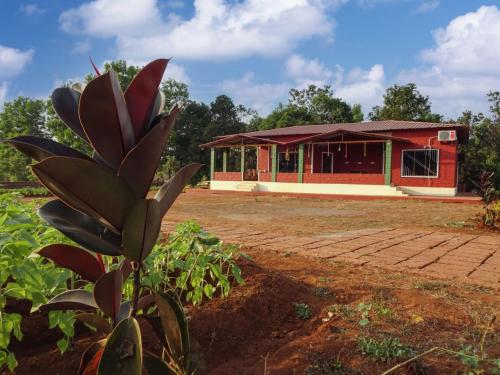 AARYA FARM in Guhagar