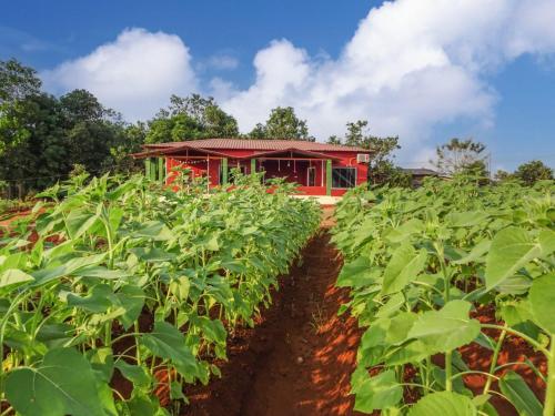 . AARYA FARM
