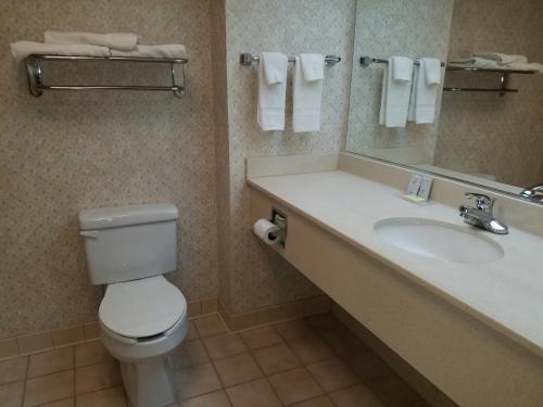 American Inn & Suites High Point NC University - image 2