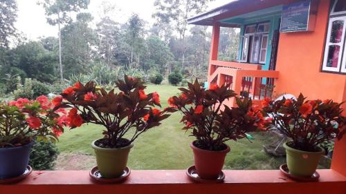 Vamoose Lungchok Nature View