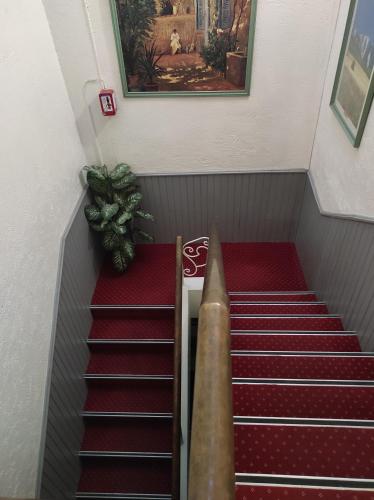 Hotel Régina - main image