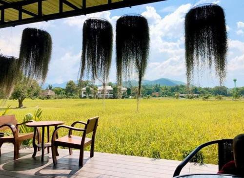 Oon Valley Farm Stay - 전망