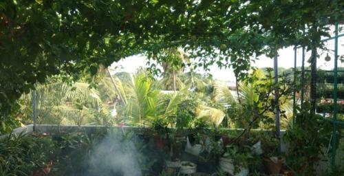 THE NEST HOMESTAY