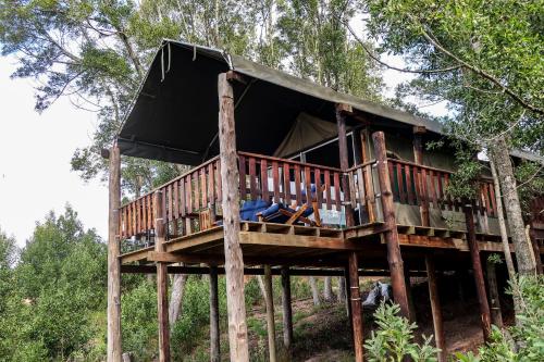 Fernhill Tented Treehouses