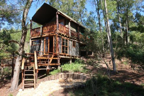 Fernhill Tented Treehouses