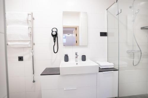 One-Bedroom Apartment image 10