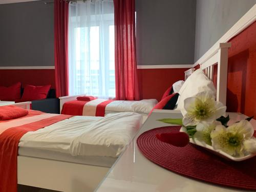 Willa Konopnicka in 斯桑努維斯