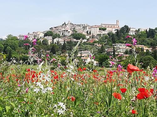 Gite des Campagnes - Location saisonnière - Fayence