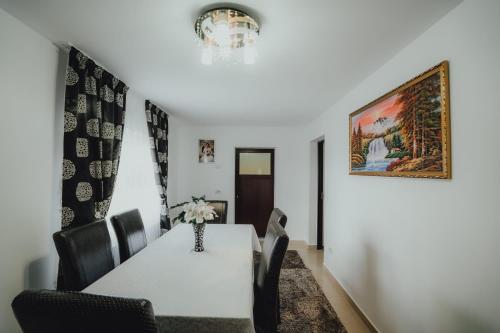 Casa Andreea Si Grigore Ursu - Borșa