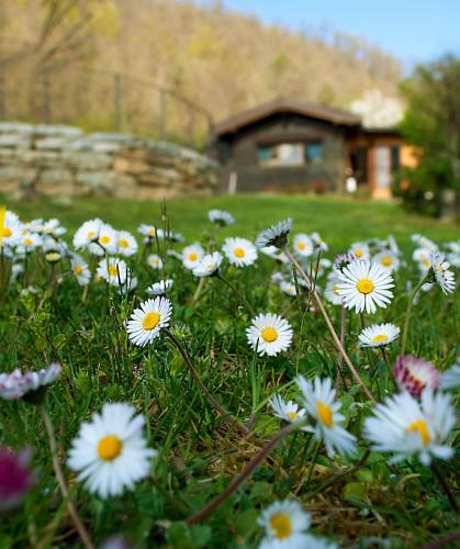 Casetta nel Bosco Naturas con piscina privata e gratuita