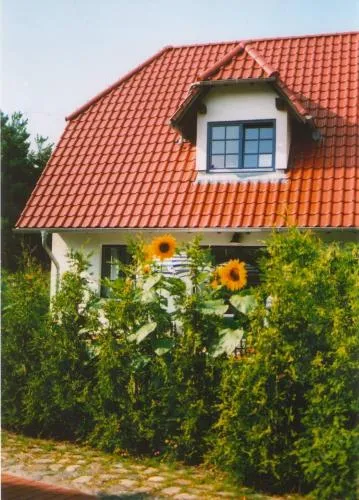 Lindenstr.32b in Zingst, Deutschland