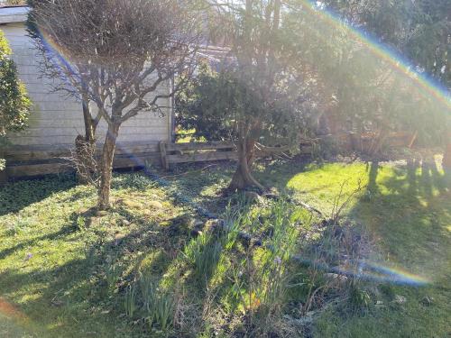 Haus Seeigel Stranddistel near Norderney Airport