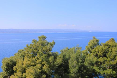 Apartments by the sea Brela Makarska - 2718 - image 4