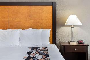 Best Western Plus Hyde Park Chicago Hotel