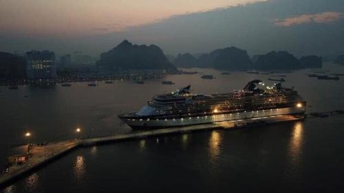 Sapphire Apartment Seaview Fukin Cool