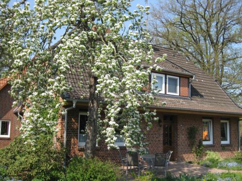 Ferienwohnung Ulrike Narjes - main image