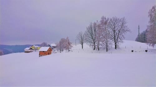 Ferienhaus Lärchenhütte