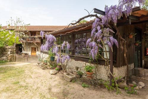 Chalé da Quinta "Lavoura da Bouça - Fruta Bio"