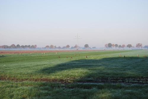 ทัศนียภาพ, Hoeve de Heemser Parel in การ์เดอเรน