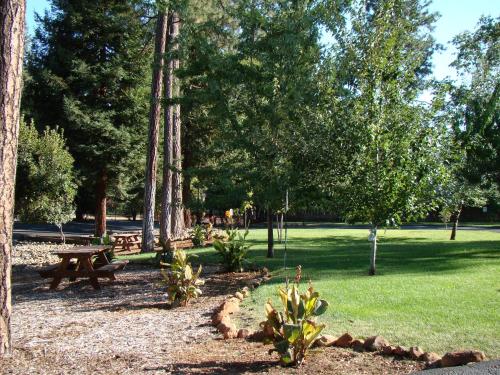 Ponderosa Gardens Motel – Paradise, CA